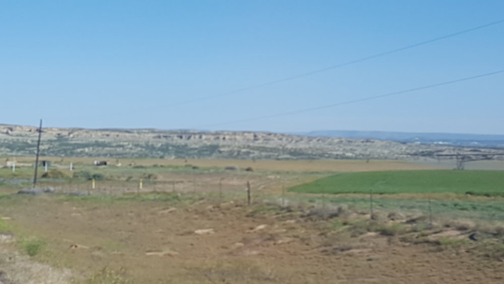 20170527_085148.jpg