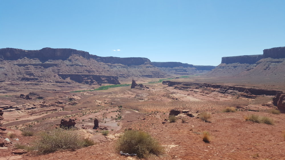 20170528_113138.jpg