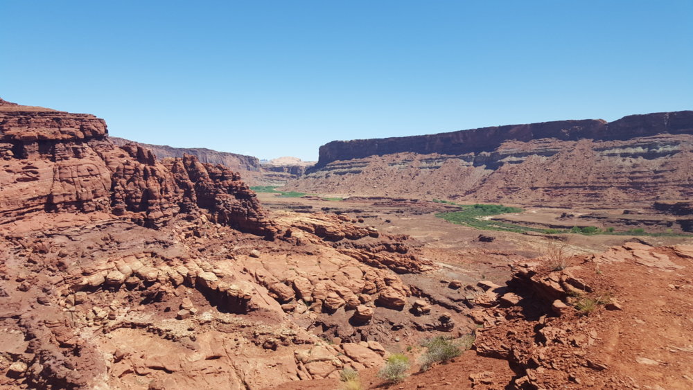 20170528_113312.jpg