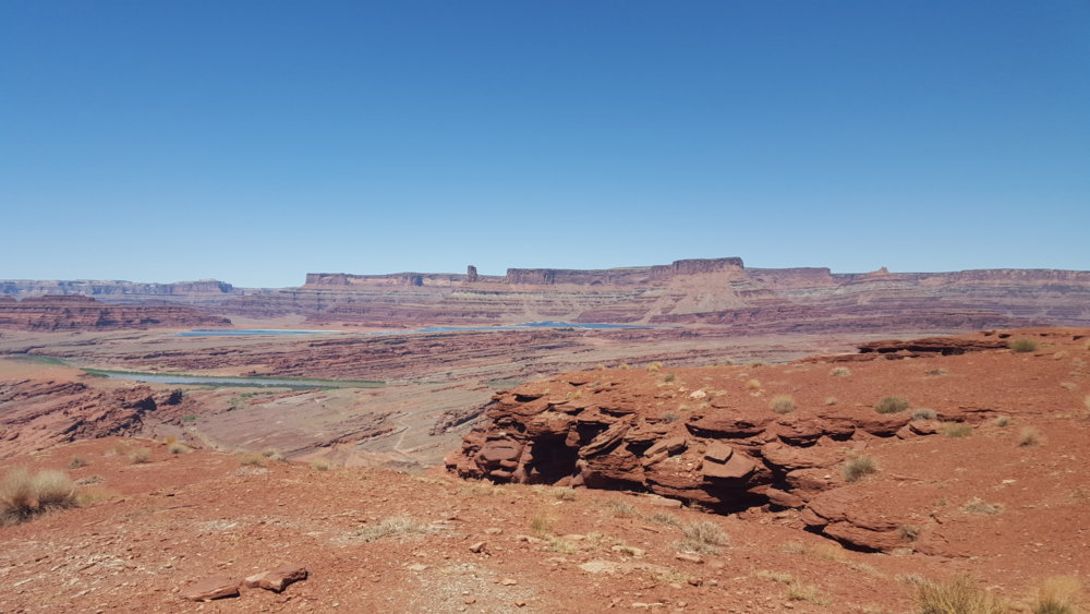20170528_115344.jpg