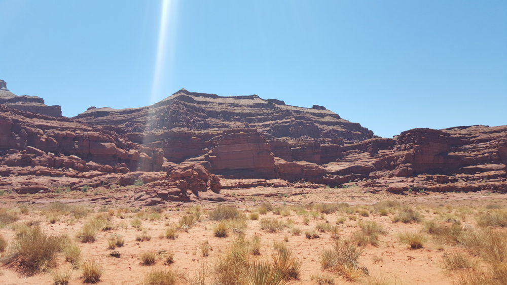 20170528_122901.jpg