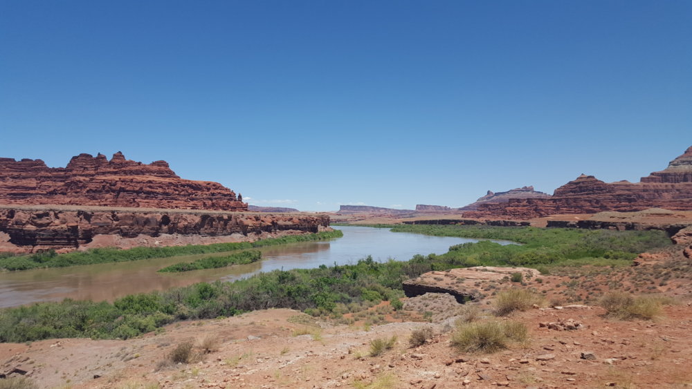 20170528_125608.jpg
