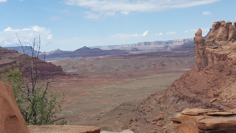20170601_105132.jpg