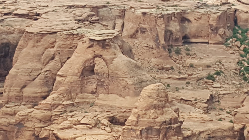 20170601_105148.jpg