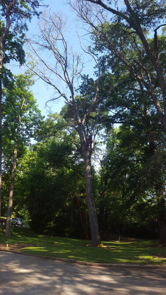 20170603_094035.jpg