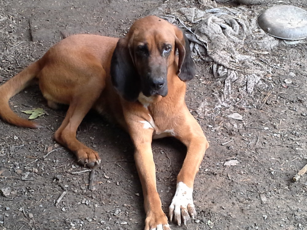 20170620_114003.jpg