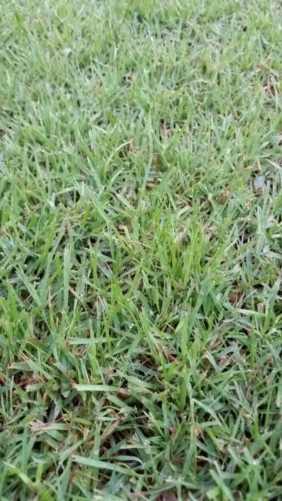 20170717_064911-01.jpeg