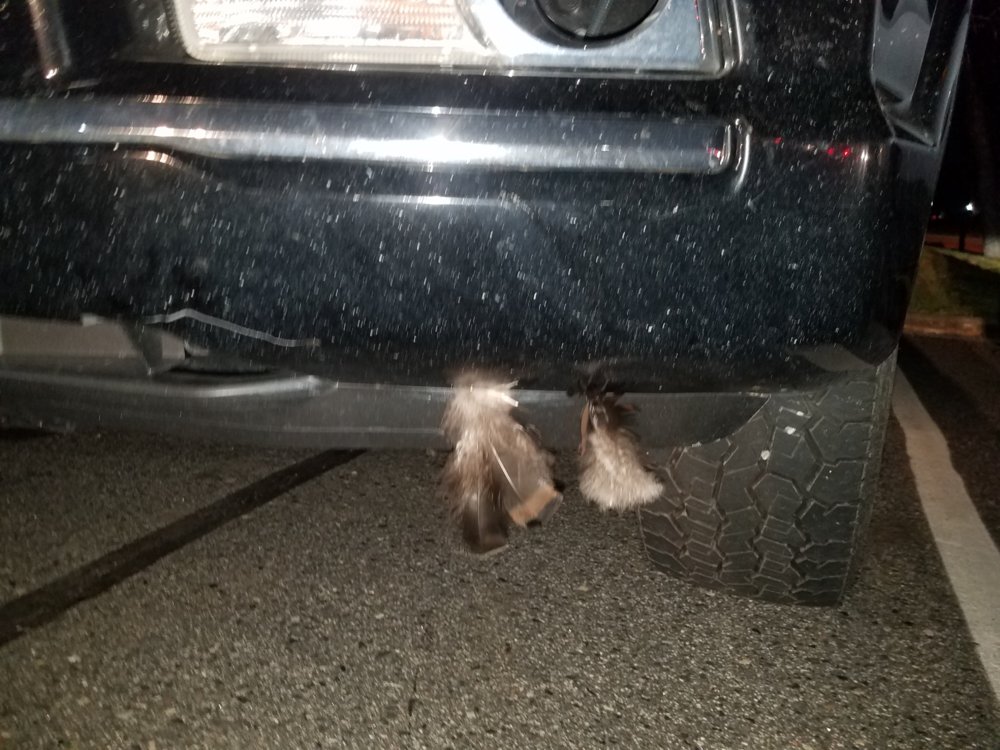 20180420_211215.jpg