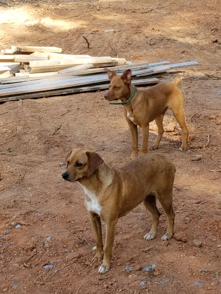 20180504_172550.jpg