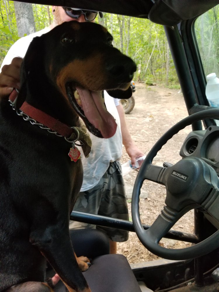 20180623_143737.jpg