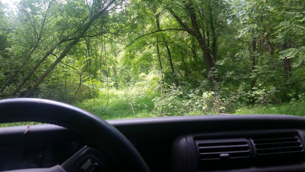 20180630_123041.jpg
