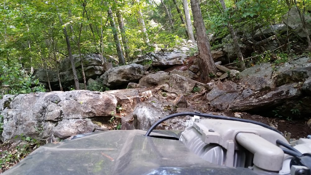 20180922_095907.jpg