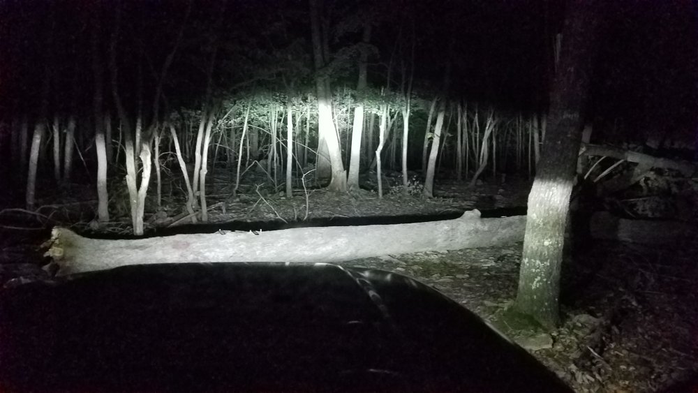 20181012_211402.jpg