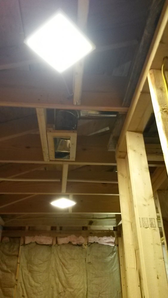20190302_200301.jpg
