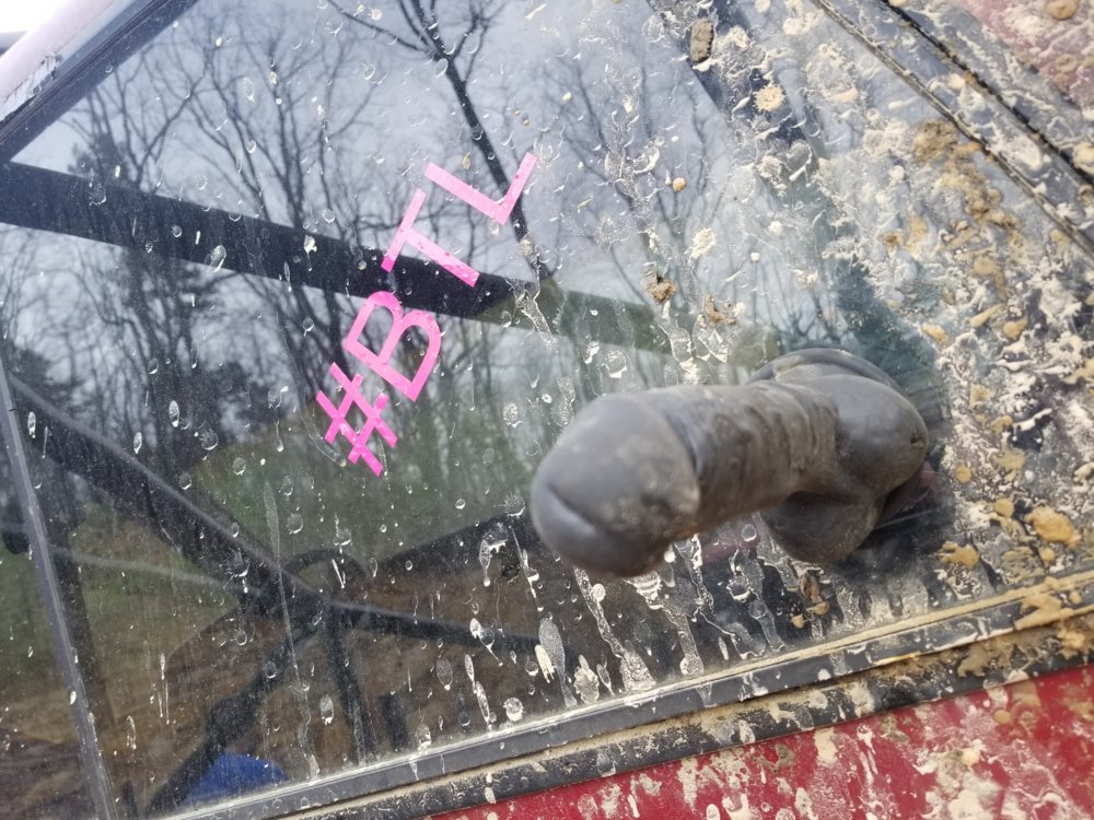 20190309_100126.jpg