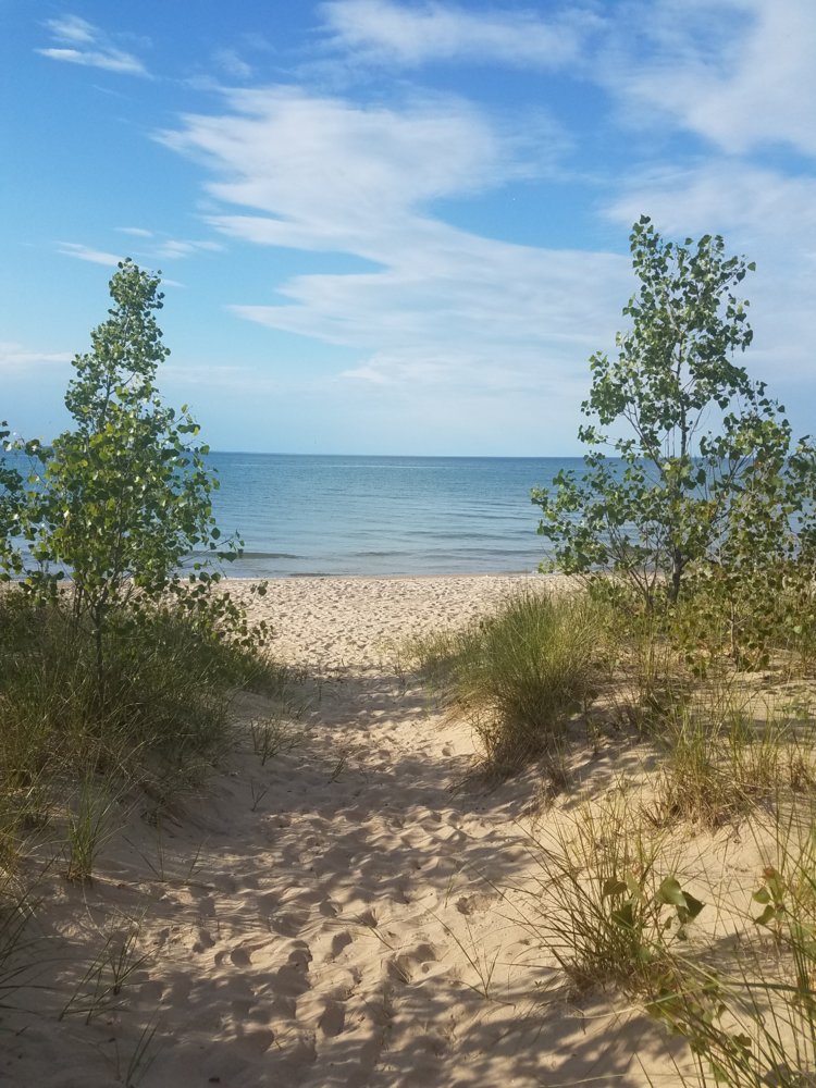 20190611_175625.jpg