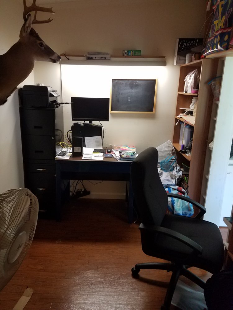 20190724_131134.jpg