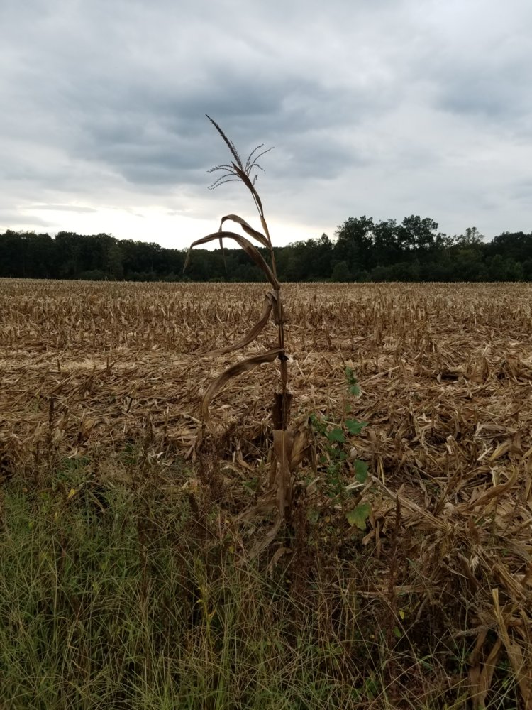 20190918_174142.jpg