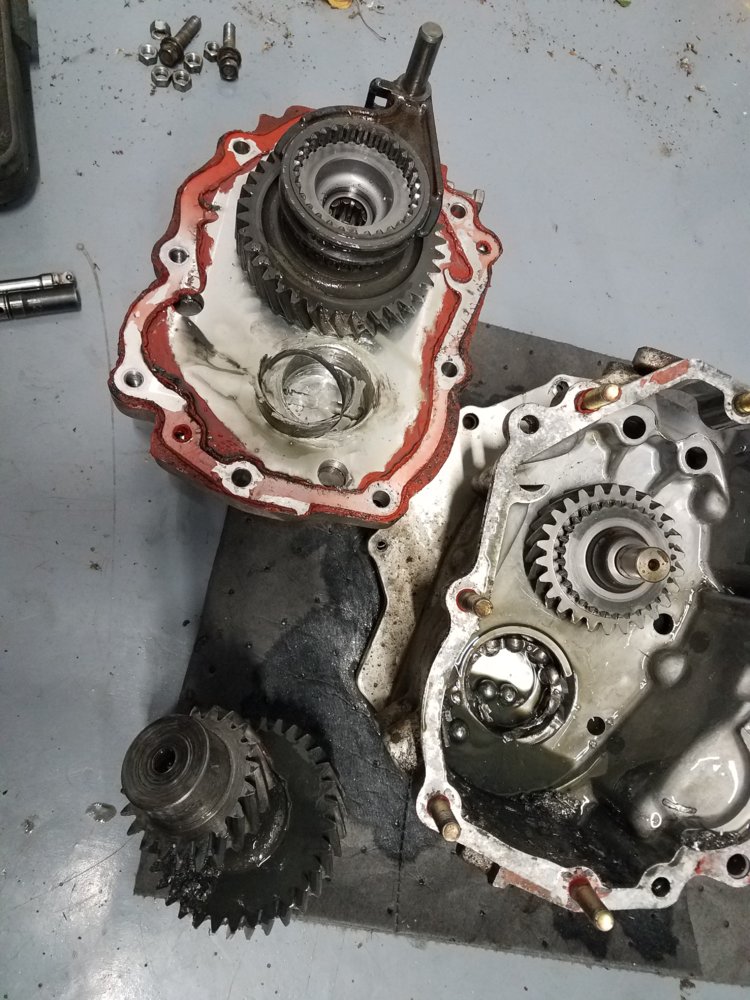 20191007_205536.jpg