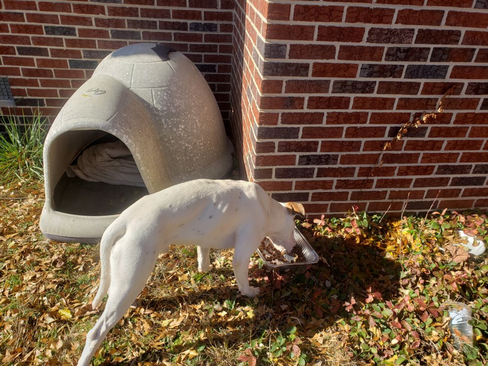20191205_123318.jpg