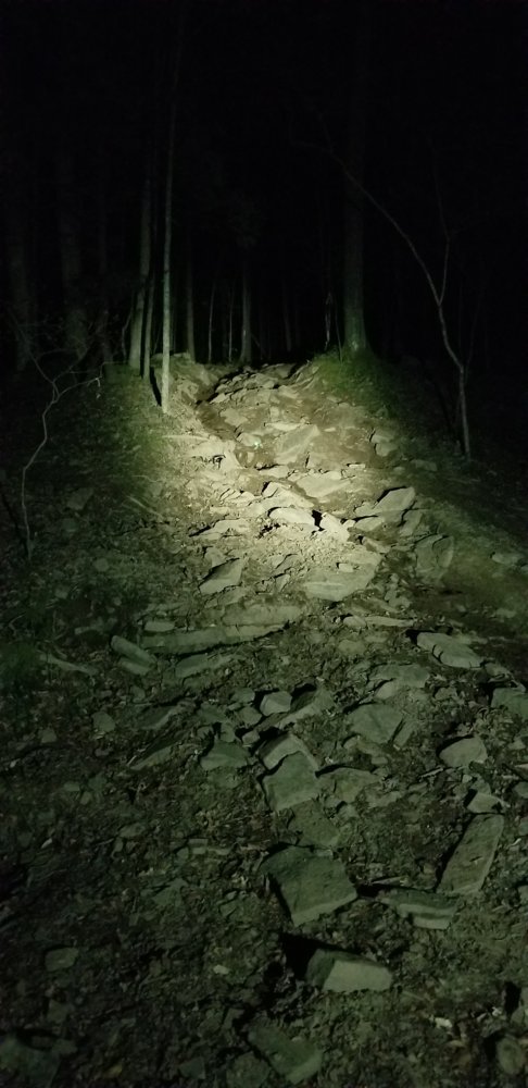 20200411_205000.jpg