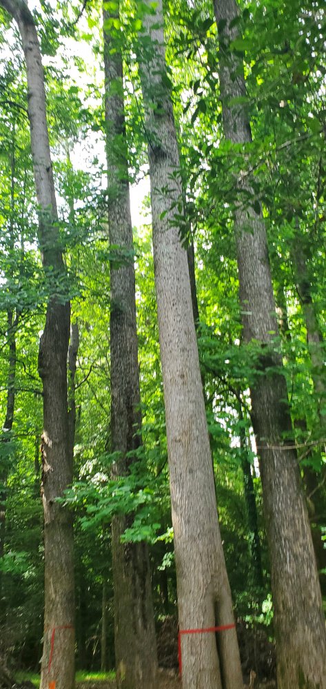 20200628_094135.jpg