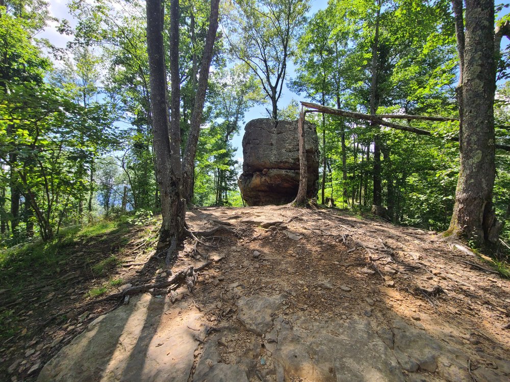 20200808_151639.jpg
