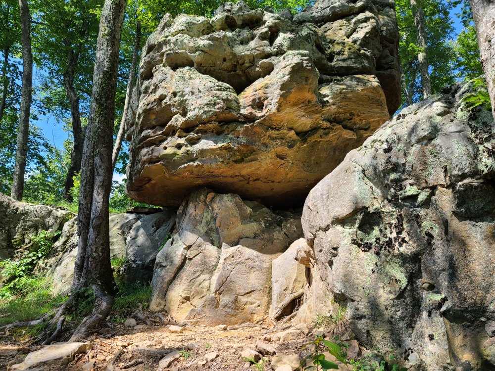 20200808_152816.jpg
