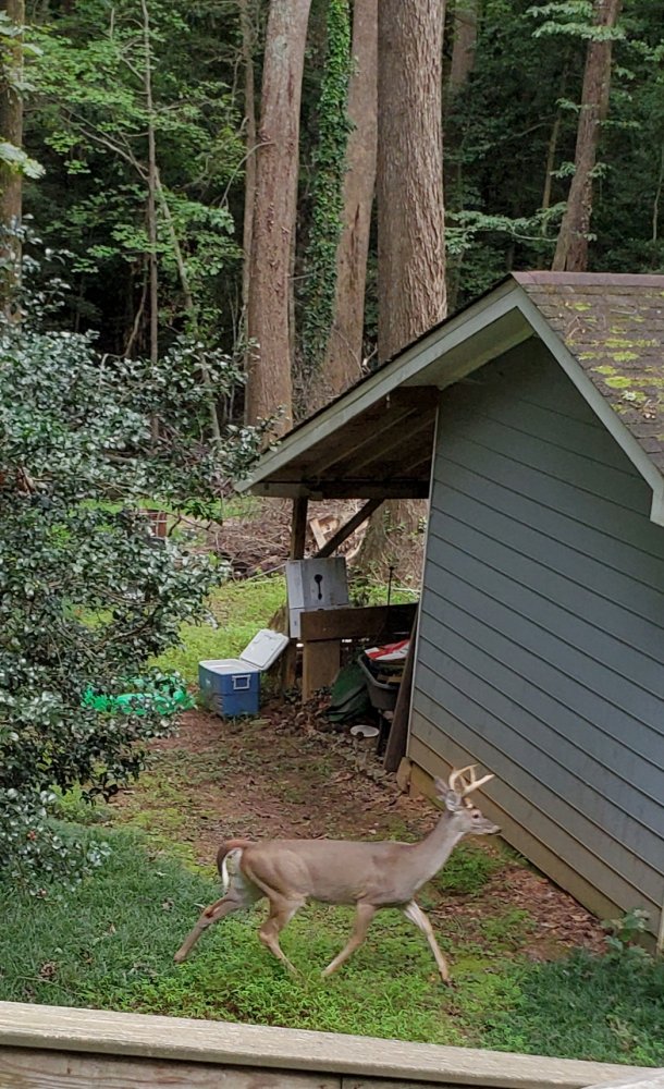 20200919_202129.jpg