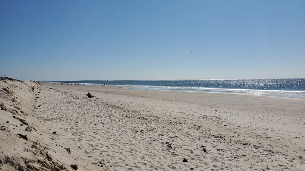 20201014_112607.jpg