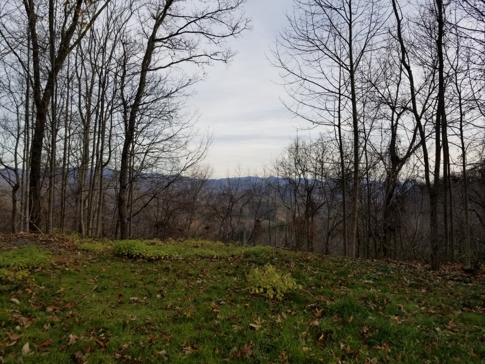 20201124_161530.jpg
