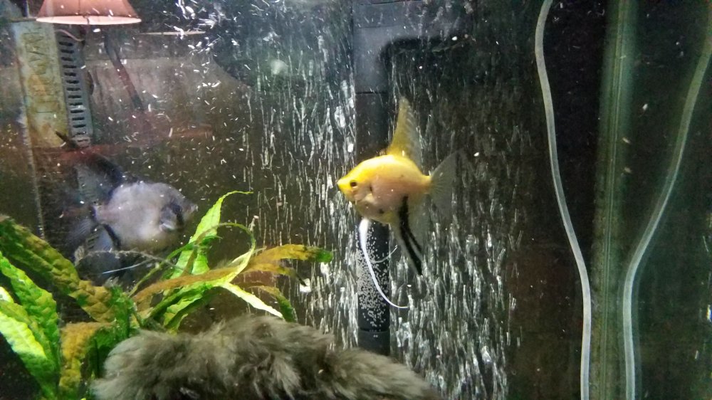 20201125_203333.jpg
