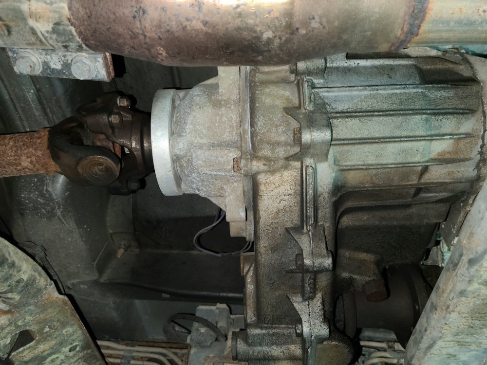 20201208_230753.jpg