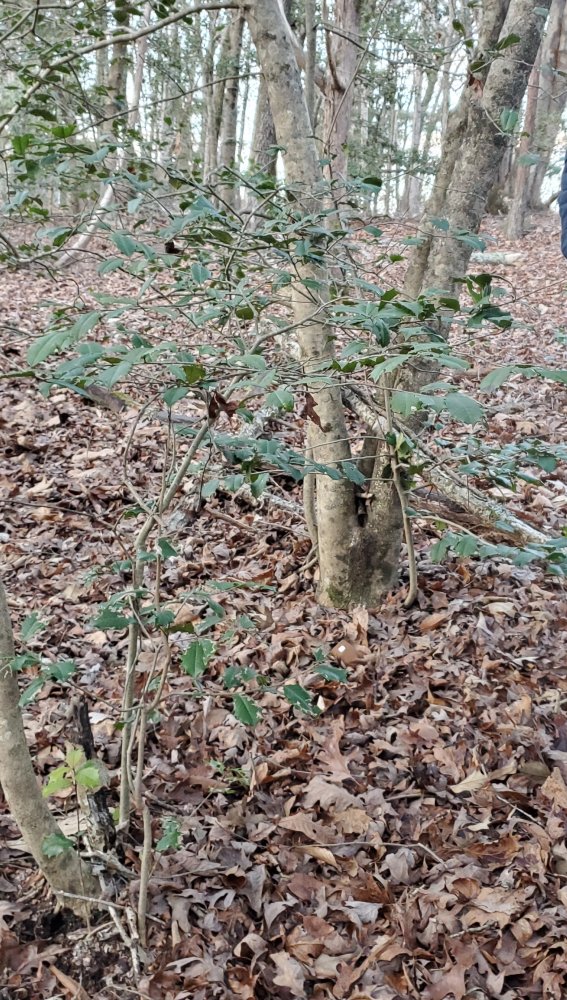 20201225_165003~2.jpg