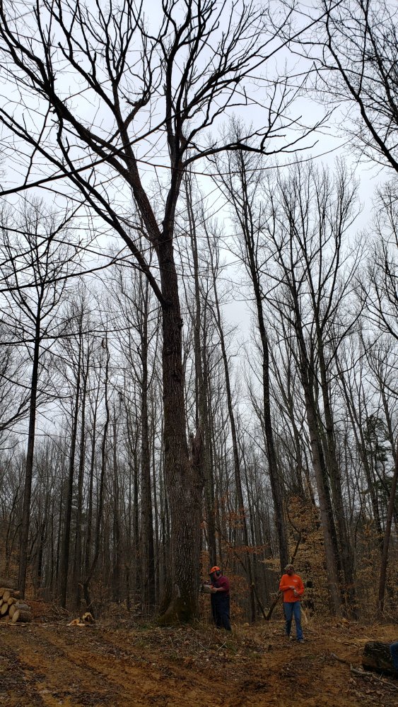 20210227_155627.jpg