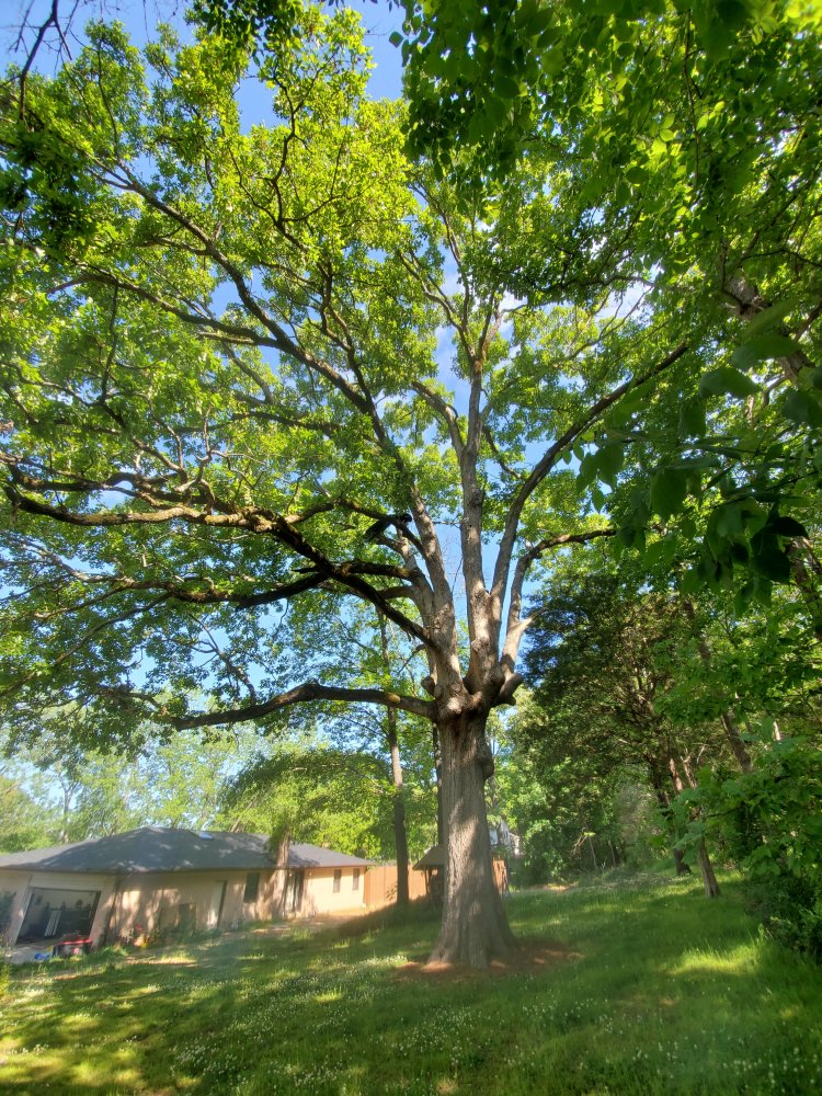 20210506_100825.jpg