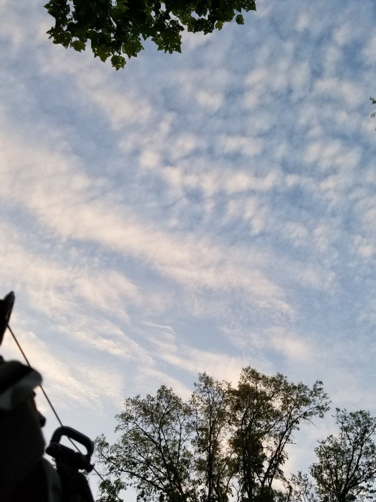20210523_063253.jpg