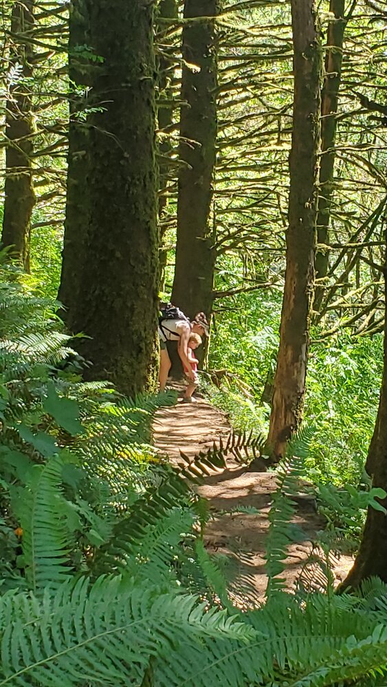 20210627_120251.jpg