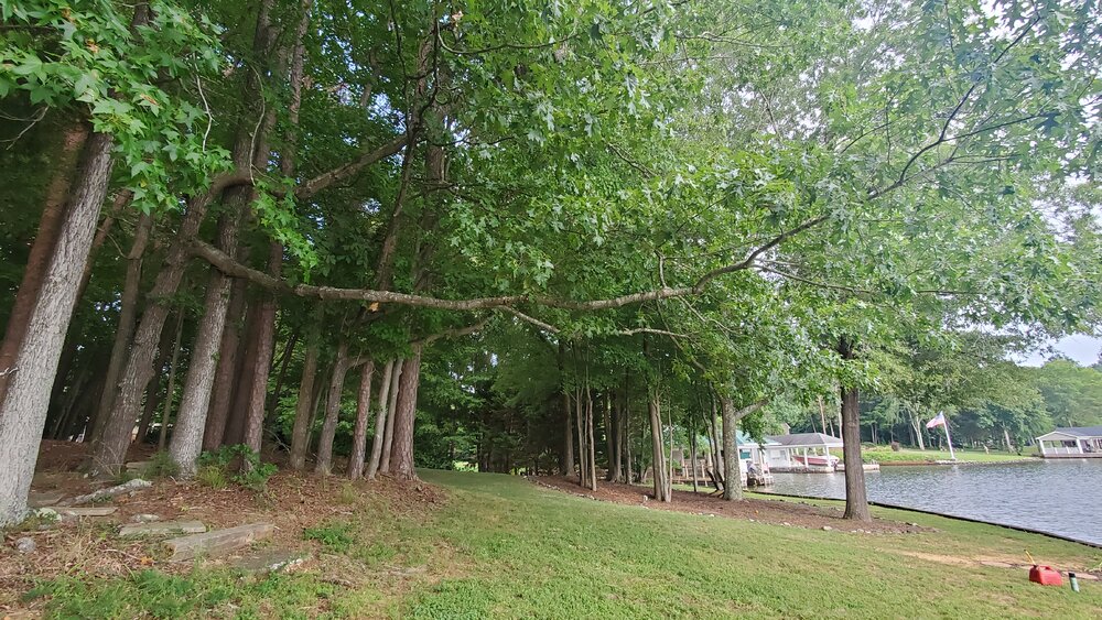 20210725_173703.jpg