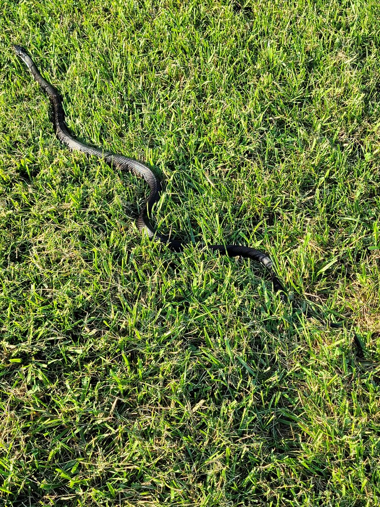 20210824_181536.jpg