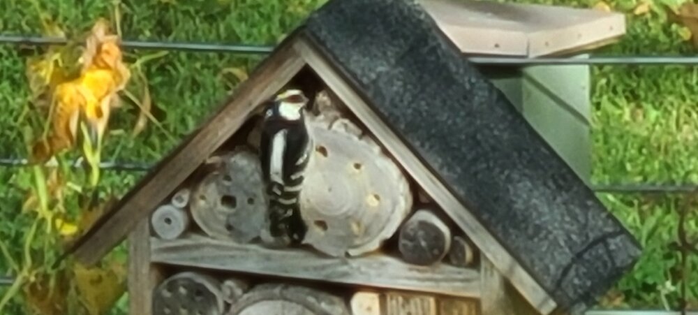 20210916_093923.jpg