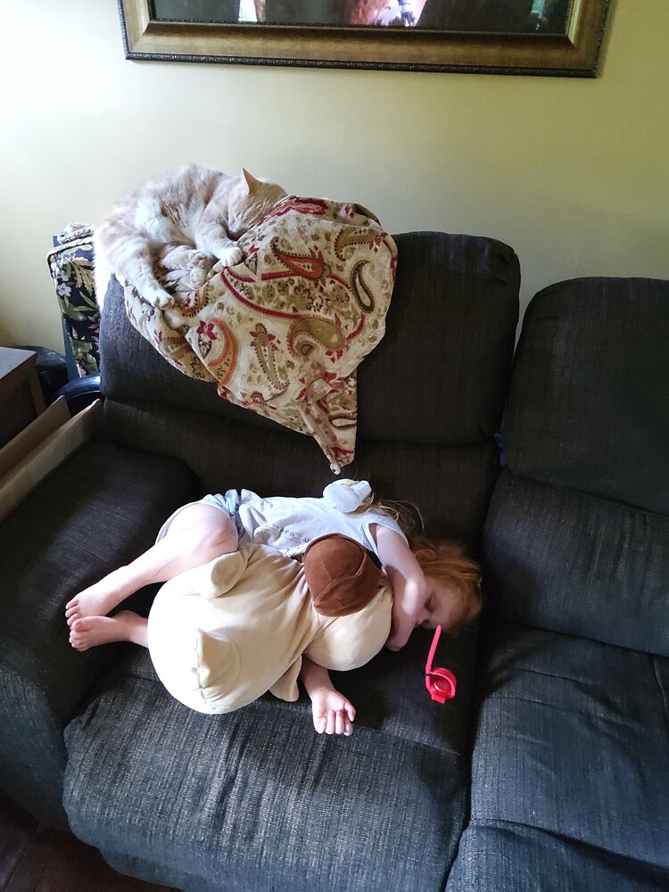 20220514_191129.jpg