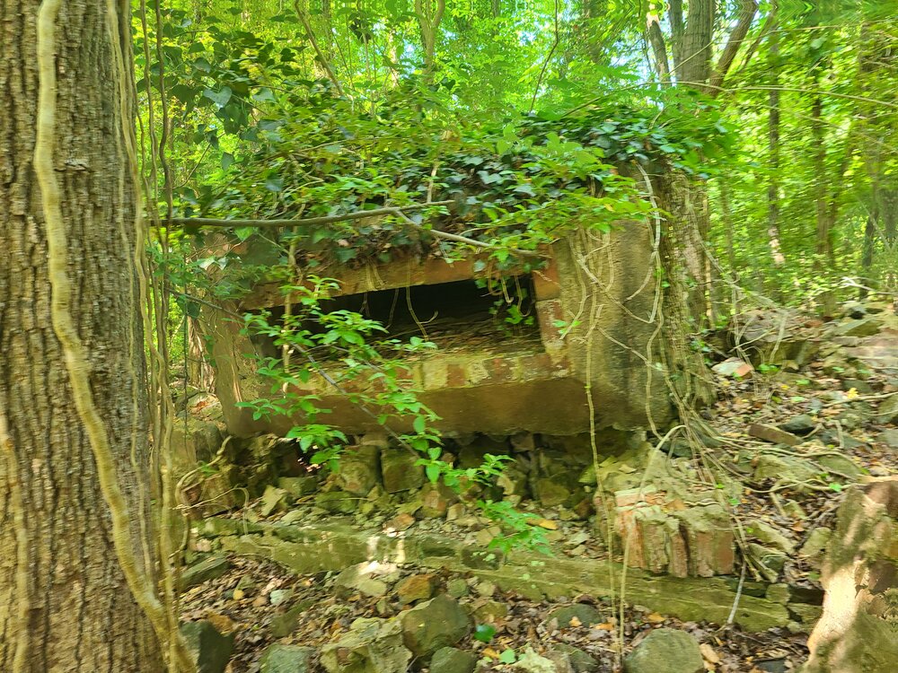 20220515_112550.jpg