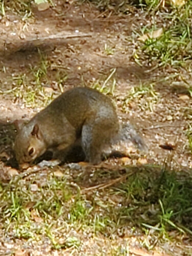 20220518_111959.jpg