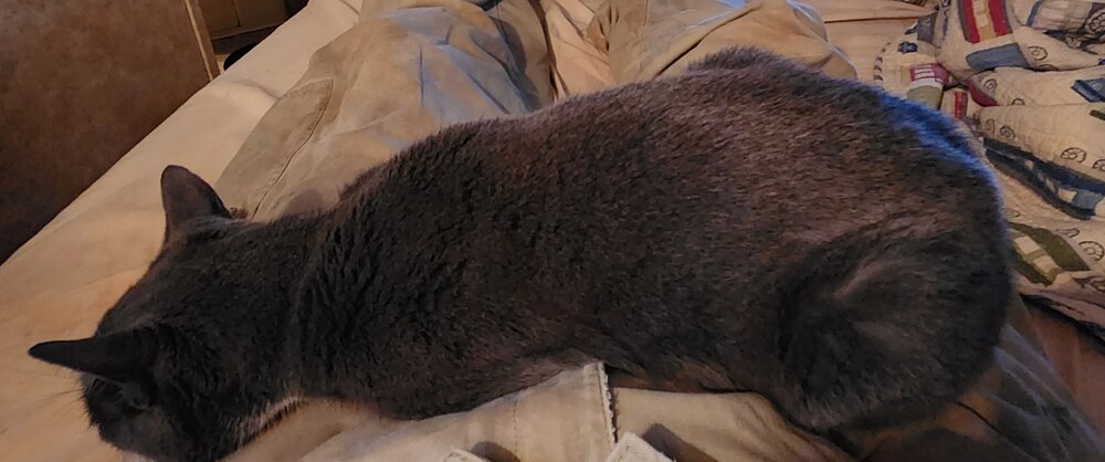 20220930_183733.jpg