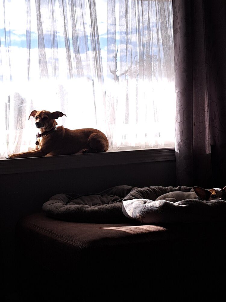 20221122_091125.jpg