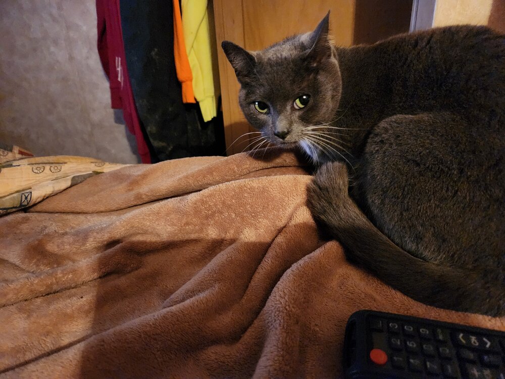 20230120_224926.jpg
