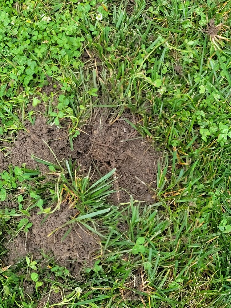 20230607_083233.jpg