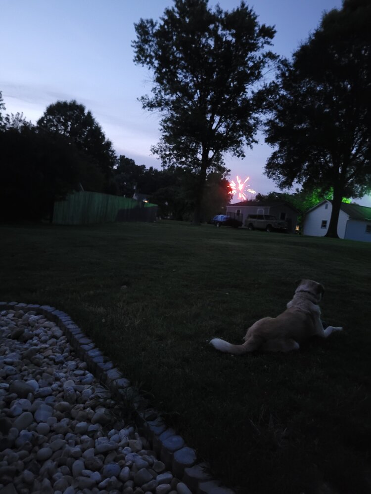 20230704_211607.jpg