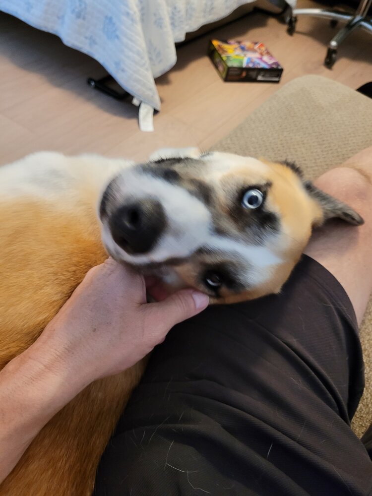 20230729_152815.jpg